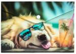Panta Plast Mapă personalizată cu buton, A5, PP, Panta Plast, Chillout Dog