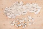 Danson - Puzzle Múzea drevené puzzle v krabičke - 1 - 39 piese Puzzle