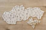Danson - Puzzle Herbár liečivých rastlín drevené puzzle v krabičke - 1 - 39 piese