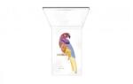 PUPA Parrot Eye make-up set - комплект грим за очи № 001