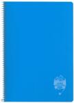 DACO Caiet A4 cu spira si coperta plastic Daco CT496DR, 96 file, 70 g/mp, Dictando, Albastru (CT496DR/ALBASTRU)