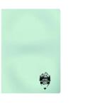 DACO Caiet A4, 100 file Daco CT410AR, 70 g/mp, Matematica, coperta plastic, Verde pastel (CT410AR/VERDEPASTEL)
