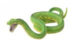 CollectA Figurina pictata manual Piton Verde de Copac 88962 (COL88962L) Figurina