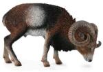 CollectA Figurina Muflon European L Collecta (COL88682L) - ookee Figurina
