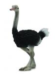 CollectA Figurina Strut L Collecta (COL88459L) - ookee Figurina