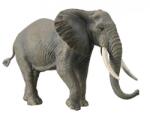 CollectA Figurina pictata manual Elefant African 88966 (COL88966XL) Figurina