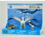 CollectA Set de 3 figurine pictate manual Viata Marina - Broasca testoasa, Albatros si Papagal de mare 84189 (COL84189LPP) Figurina
