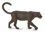 CollectA Figurina Leopard negru pictata manual L Collecta (COL88890L) - ookee Figurina