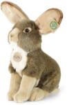 Rappa Iepure de pluș 30 cm ECO-FRIENDLY (RP221390)