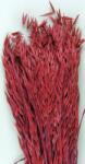  Buchet flori uscate, Zab, rosu, 150gr (007.100815005)