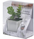  Set planta artificiala + odorizant, aroma Trandafiri (1800000010462)