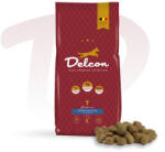 Delcon Regular Plus Fish 12 kg Hypoallergén - Prémium kutyatáp - hal