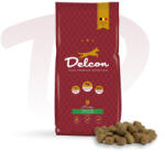 Delcon Regular Chicken 12 kg-Prémium kutyatáp csirke