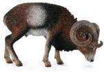CollectA Figurina Muflon European L (COL88682L) Figurina