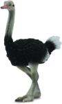 CollectA Figurina Strut L (COL88459L) Figurina