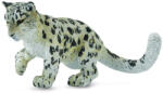 CollectA Figurina Pui Leopard de Zapada jucandu-se M (COL88497M) Figurina