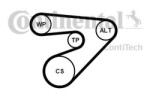 CONTITECH Set curea transmisie cu caneluri SKODA ROOMSTER Praktik (5J) (2007 - 2015) CONTITECH 6PK1453K2