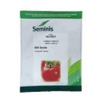 Bayer Seminte Tomate BIG BEEF F1 Seminis - 500 seminte (PR-102666)