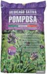 Verdon Seminte lucerna POMPOSA C1, Nedrajata - 25 kg (PR-103502)