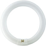 Philips Kompakt fénycső G10Q C-T9 22, 2W 4000K 1285lm MASTER TL-E Circular Super 80 PHILIPS (8727900840506)