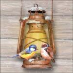 Ambiente Bird on lamp papírszalvéta 33x33cm, 20db-os
