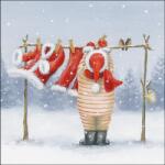 Ambiente Laundry Day papírszalvéta 33x33cm, 20db-os - szep-otthon