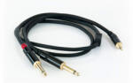 s. Cab PAC381, 2x6.3mm/3.5mm, 1m (PAC381)