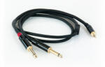 s. Cab PAC381-3, 2x6.3mm/3.5mm, 3m (PAC381-3)