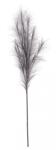 Bizzotto Set 12 crengute Pampas 20x100 cm (0939439deco)