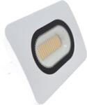 TRACON Tracon RSMDLF50WW Fehér SMD fényvető 50W, 3000K, IP65, 220-240V AC, 3800lm, EEI=G (RSMDLF50WW)