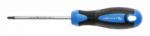 Högert Technik HT1S053 Csavarhúzó torx T10, 100 mm, S2 acél (HT1S053)