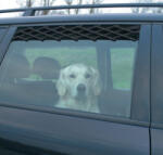 TRIXIE Szellőzőrács Autó ablakra 33-110cm (13102)