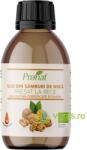 Pronat Ulei din Samburi de Nuca Presat la Rece Ecologic/Bio 100ml