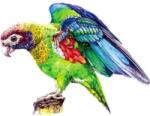 HARAHU Puzzle din lemn - Macaw / S KP22009 Puzzle