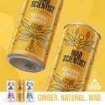 Mad Scientist Brewery Sörfőzde Mad Scientist - Natural Ginger [0, 25L]