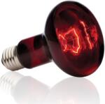 H. Exo-Terra 2144 Heat 100w - Lampă cu infraroșu