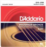 Daddario EJ17, Струни за акустична китара 13-56, Phosphor Bronze (EJ17)