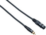 Bespeco Аудио кабел Bespeco EAXFR150, RCA/XLR, 1.5m (EAXFR150)