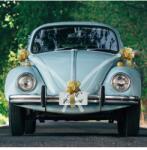 Chaks Decorațiune auto cu funde - Golden Bow