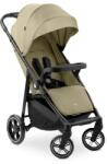 Hauck Shop N Care Carucior