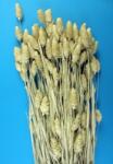  Flori uscate, Meiul Canarilor, natur, 100g (5998977188935)