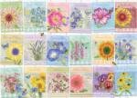 Cobble Hill 45080 - Seed Packets - 500 db-os puzzle (45080)