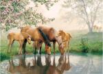 Cobble Hill 37025 - Horse Family - 350 db-os Family puzzle (47025)
