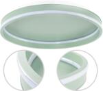 Toolight Szerszámlámpa, LED mennyezeti lámpa 40cm, 4000 lm, 22W, 4000K, APP1463, zöld, OSW-08641 (OSW-08641)