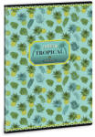 Ars Una Ars Una Yellow pineapple A/4 extra kapcsos füzet-sima (AA_93808699)
