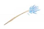 Chaks Buchet de flori - Lagurus albastru
