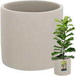 KOTARBAU Ceramică cilindru beton ghiveci de flori fi 20 cm (R011)