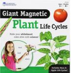 Learning Resources Ciclul vietii plantei - set magnetic (LER6045) - ookee