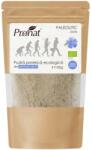 Pronat Pudra Proteica Bio din Seminte de In, 150 g (PRN454.Z150)