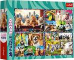 Trefl 13313 - Mókás állatok - 4 x 250 db-os puzzle (13313)